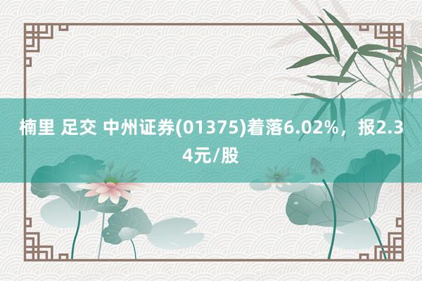 楠里 足交 中州证券(01375)着落6.02%，报2.34元/股