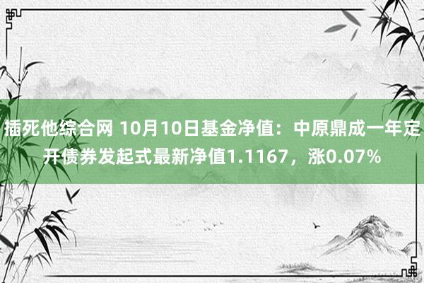 插死他综合网 10月10日基金净值：中原鼎成一年定开债券发起式最新净值1.1167，涨0.07%