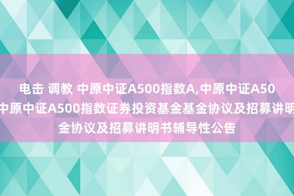 电击 调教 中原中证A500指数A,中原中证A500指数C: 对于中原中证A500指数证券投资基金基金协议及招募讲明书辅导性公告