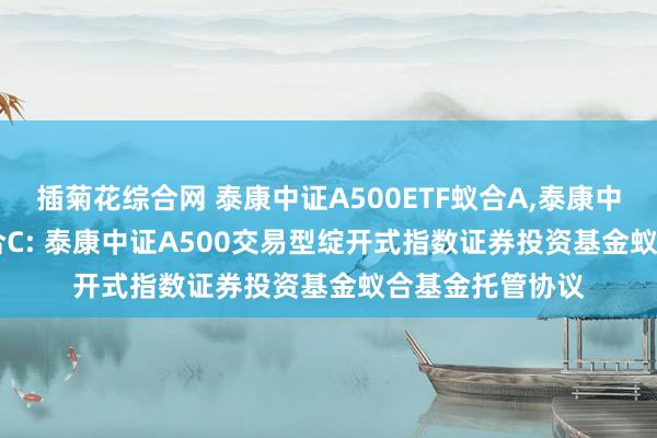 插菊花综合网 泰康中证A500ETF蚁合A,泰康中证A500ETF蚁合C: 泰康中证A500交易型绽开式指数证券投资基金蚁合基金托管协议