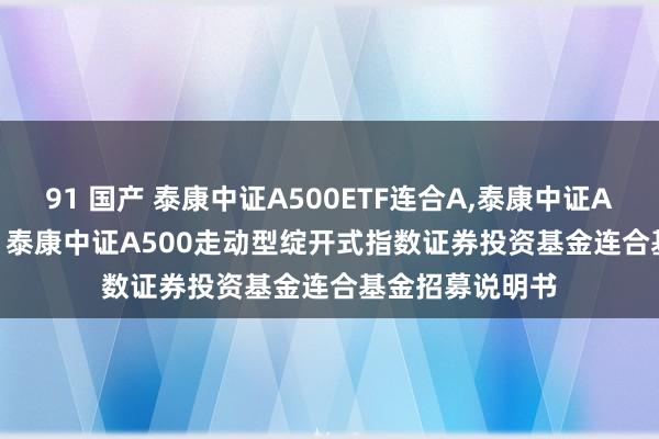 91 国产 泰康中证A500ETF连合A,泰康中证A500ETF连合C: 泰康中证A500走动型绽开式指数证券投资基金连合基金招募说明书