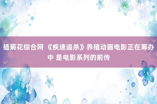 插菊花综合网 《疾速追杀》养殖动画电影正在筹办中 是电影系列的前传