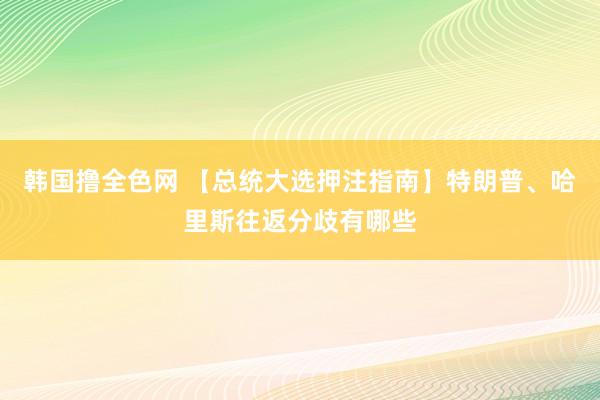 韩国撸全色网 【总统大选押注指南】特朗普、哈里斯往返分歧有哪些