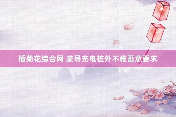 插菊花综合网 疏导充电桩外不雅蓄意要求
