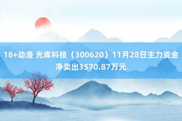 18+动漫 光库科技（300620）11月28日主力资金净卖出3570.87万元