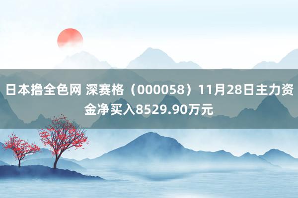 日本撸全色网 深赛格（000058）11月28日主力资金净买入8529.90万元