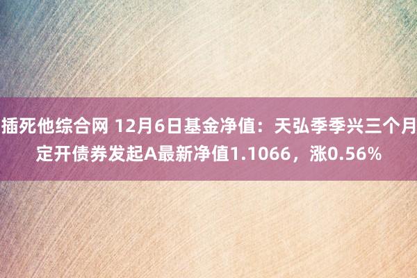 插死他综合网 12月6日基金净值：天弘季季兴三个月定开债券发起A最新净值1.1066，涨0.56%