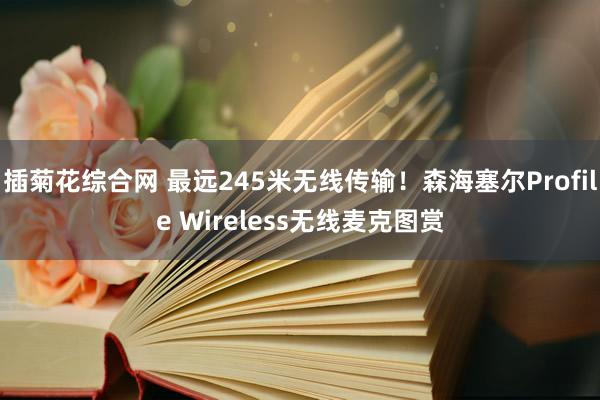 插菊花综合网 最远245米无线传输！森海塞尔Profile Wireless无线麦克图赏