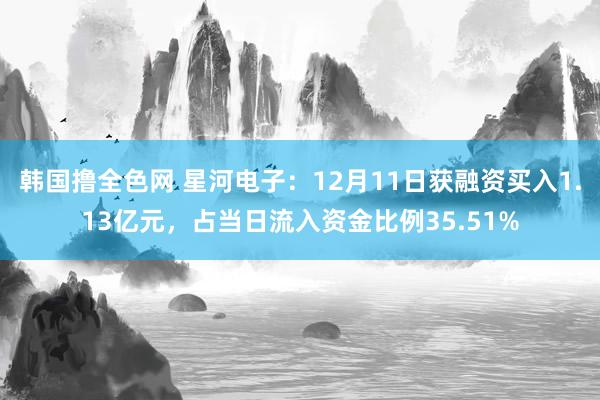 韩国撸全色网 星河电子：12月11日获融资买入1.13亿元，占当日流入资金比例35.51%