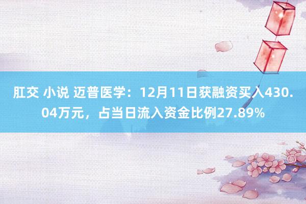 肛交 小说 迈普医学：12月11日获融资买入430.04万元，占当日流入资金比例27.89%