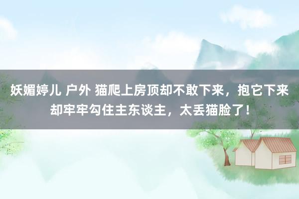 妖媚婷儿 户外 猫爬上房顶却不敢下来，抱它下来却牢牢勾住主东谈主，太丢猫脸了！