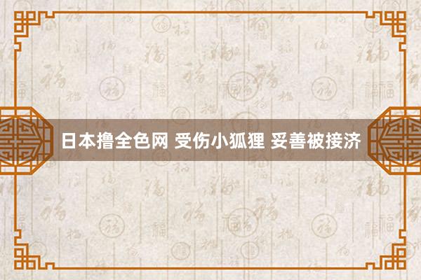 日本撸全色网 受伤小狐狸 妥善被接济