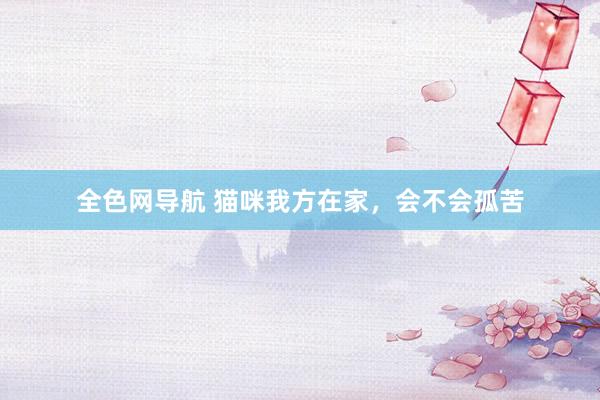 全色网导航 猫咪我方在家，会不会孤苦