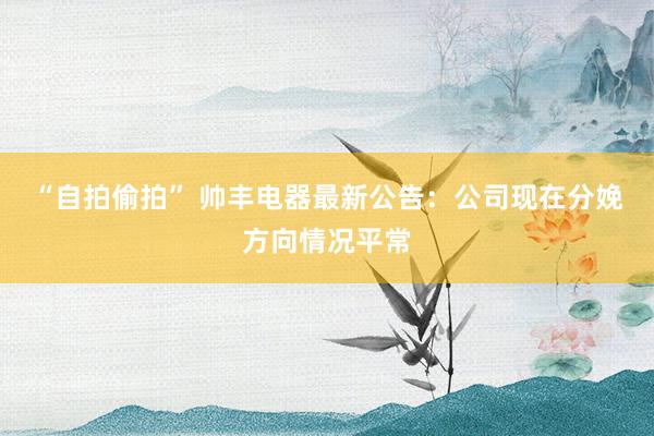 “自拍偷拍” 帅丰电器最新公告：公司现在分娩方向情况平常