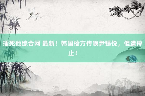 插死他综合网 最新！韩国检方传唤尹锡悦，但遭停止！