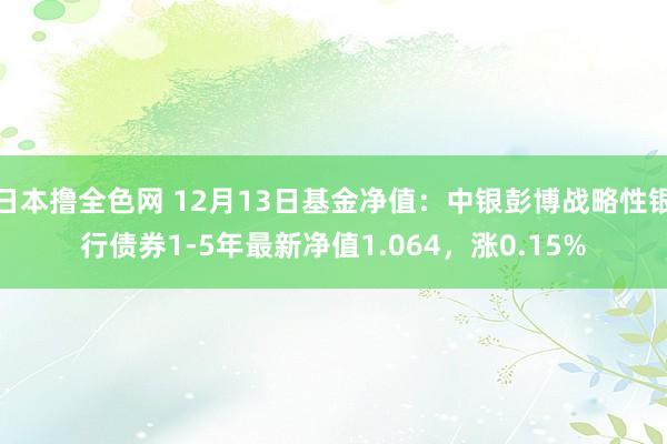 日本撸全色网 12月13日基金净值：中银彭博战略性银行债券1-5年最新净值1.064，涨0.15%