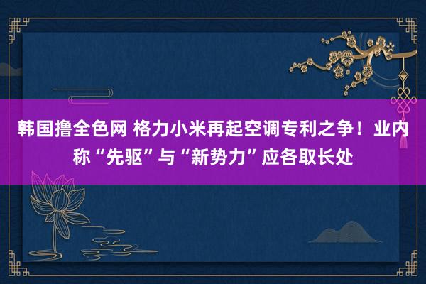 韩国撸全色网 格力小米再起空调专利之争！业内称“先驱”与“新势力”应各取长处