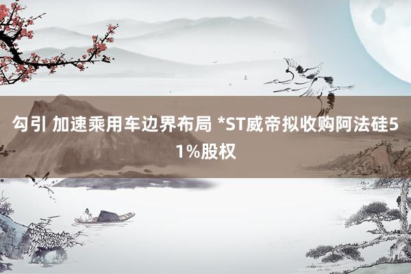 勾引 加速乘用车边界布局 *ST威帝拟收购阿法硅51%股权