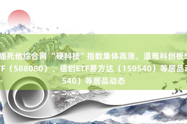 插死他综合网 “硬科技”指数集体高涨，温雅科创板50ETF（588080）、信创ETF易方达（159540）等居品动态