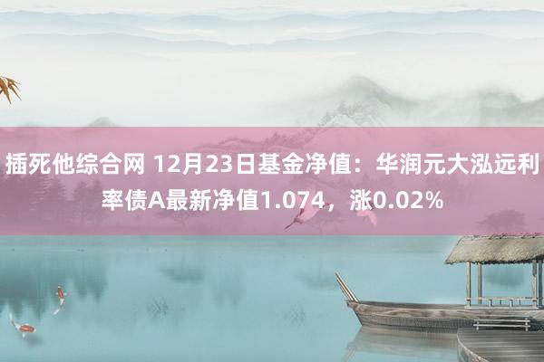 插死他综合网 12月23日基金净值：华润元大泓远利率债A最新净值1.074，涨0.02%
