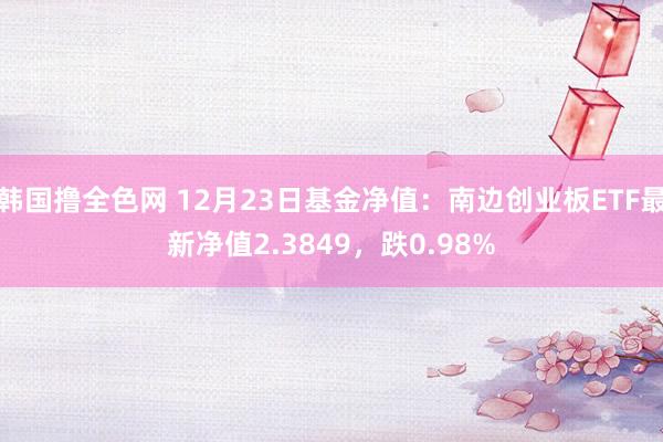 韩国撸全色网 12月23日基金净值：南边创业板ETF最新净值2.3849，跌0.98%