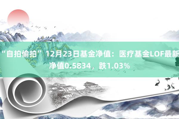 “自拍偷拍” 12月23日基金净值：医疗基金LOF最新净值0.5834，跌1.03%