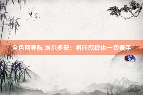 全色网导航 埃尔多安：将向叙提供一切援手