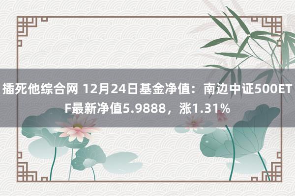 插死他综合网 12月24日基金净值：南边中证500ETF最新净值5.9888，涨1.31%
