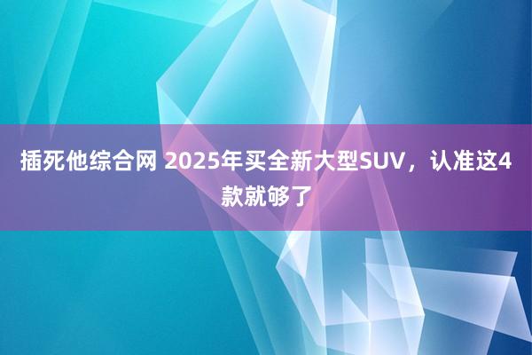插死他综合网 2025年买全新大型SUV，认准这4款就够了