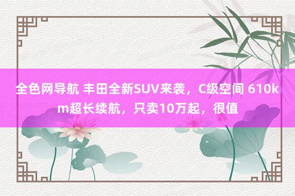 全色网导航 丰田全新SUV来袭，C级空间 610km超长续航，只卖10万起，很值