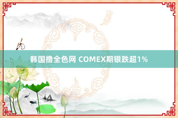 韩国撸全色网 COMEX期银跌超1%