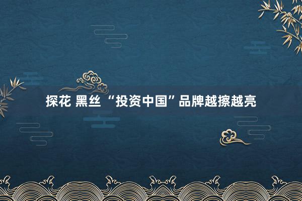 探花 黑丝 “投资中国”品牌越擦越亮