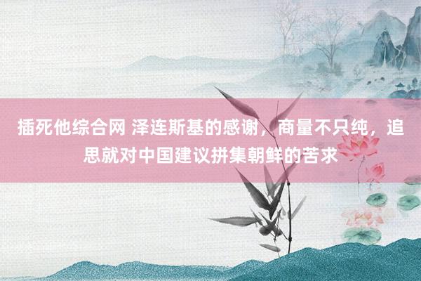 插死他综合网 泽连斯基的感谢，商量不只纯，追思就对中国建议拼集朝鲜的苦求