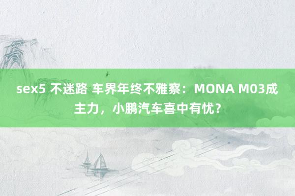 sex5 不迷路 车界年终不雅察：MONA M03成主力，小鹏汽车喜中有忧？