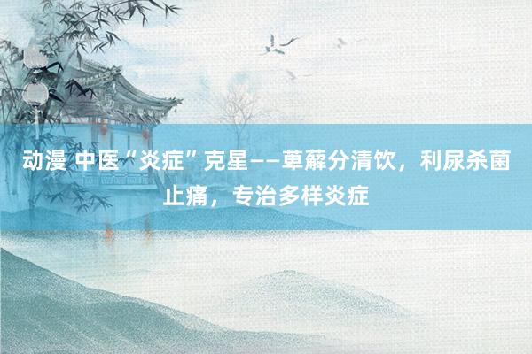 动漫 中医“炎症”克星——萆薢分清饮，利尿杀菌止痛，专治多样炎症