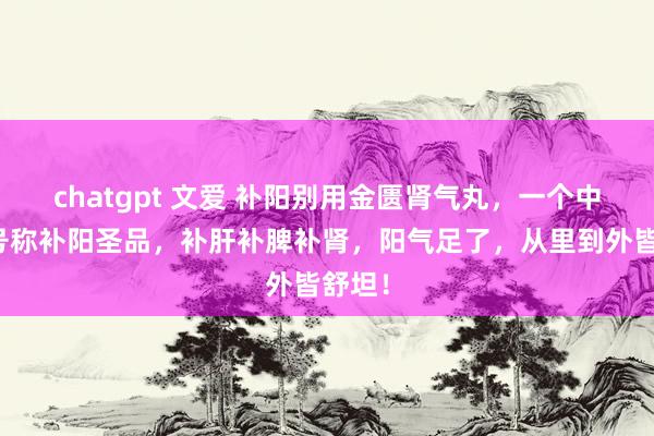 chatgpt 文爱 补阳别用金匮肾气丸，一个中成药号称补阳圣品，补肝补脾补肾，阳气足了，从里到外皆舒坦！