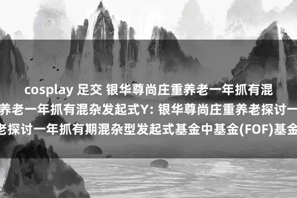 cosplay 足交 银华尊尚庄重养老一年抓有混杂发起式A,银华尊尚庄重养老一年抓有混杂发起式Y: 银华尊尚庄重养老探讨一年抓有期混杂型发起式基金中基金(FOF)基金居品贵府摘抄更新
