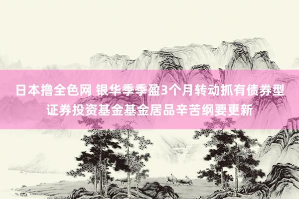 日本撸全色网 银华季季盈3个月转动抓有债券型证券投资基金基金居品辛苦纲要更新