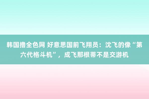 韩国撸全色网 好意思国前飞翔员：沈飞的像“第六代格斗机”，成飞那根蒂不是交游机