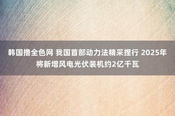 韩国撸全色网 我国首部动力法精采捏行 2025年将新增风电光伏装机约2亿千瓦