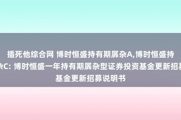 插死他综合网 博时恒盛持有期羼杂A,博时恒盛持有期羼杂C: 博时恒盛一年持有期羼杂型证券投资基金更新招募说明书