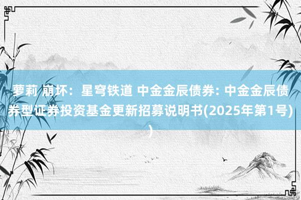 萝莉 崩坏:星穹铁道 中金金辰债券: 中金金辰债券型证券投资基金更新招募说明书(2025年第1号)