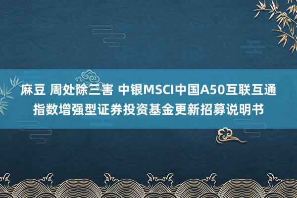 麻豆 周处除三害 中银MSCI中国A50互联互通指数增强型证券投资基金更新招募说明书