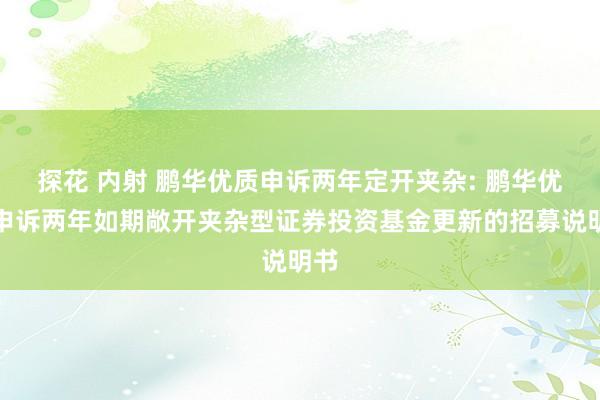 探花 内射 鹏华优质申诉两年定开夹杂: 鹏华优质申诉两年如期敞开夹杂型证券投资基金更新的招募说明书