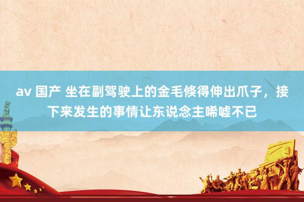 av 国产 坐在副驾驶上的金毛倏得伸出爪子，接下来发生的事情让东说念主唏嘘不已