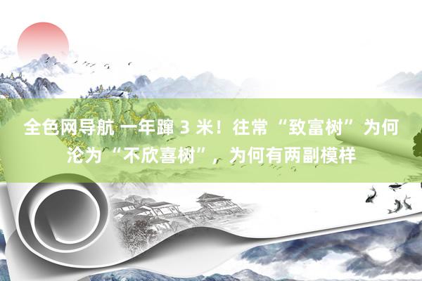 全色网导航 一年蹿 3 米！往常 “致富树” 为何沦为 “不欣喜树”，为何有两副模样