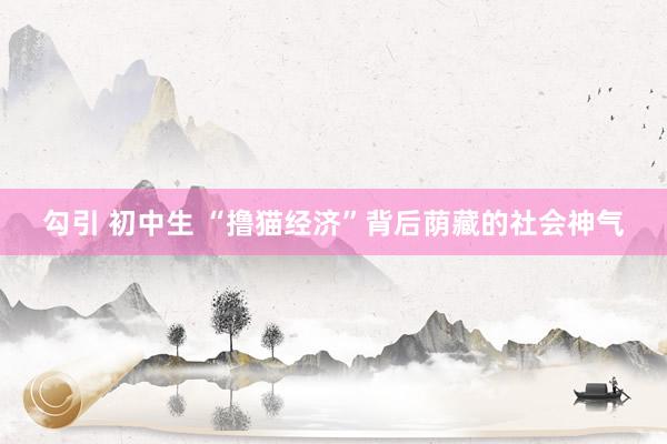 勾引 初中生 “撸猫经济”背后荫藏的社会神气