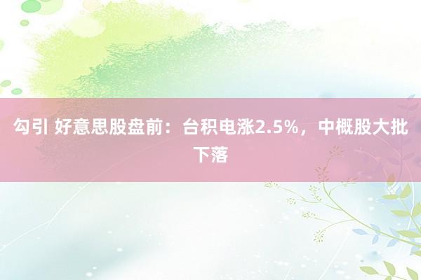 勾引 好意思股盘前：台积电涨2.5%，中概股大批下落