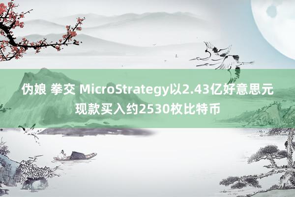 伪娘 拳交 MicroStrategy以2.43亿好意思元现款买入约2530枚比特币