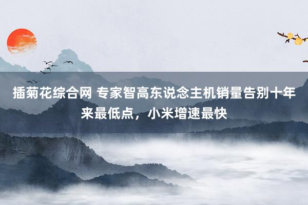 插菊花综合网 专家智高东说念主机销量告别十年来最低点，小米增速最快